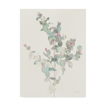 Danhui Nai 'Eucalyptus II' Canvas Art,14x19